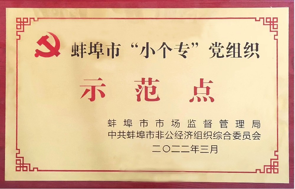 盛世新能源黨支部榮獲蚌埠市“小個?！秉h組織示范點稱號