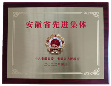 喜報省級表彰！熱烈祝賀安徽盛世新能源材料科技有限公司榮獲 “安徽省先進集體”