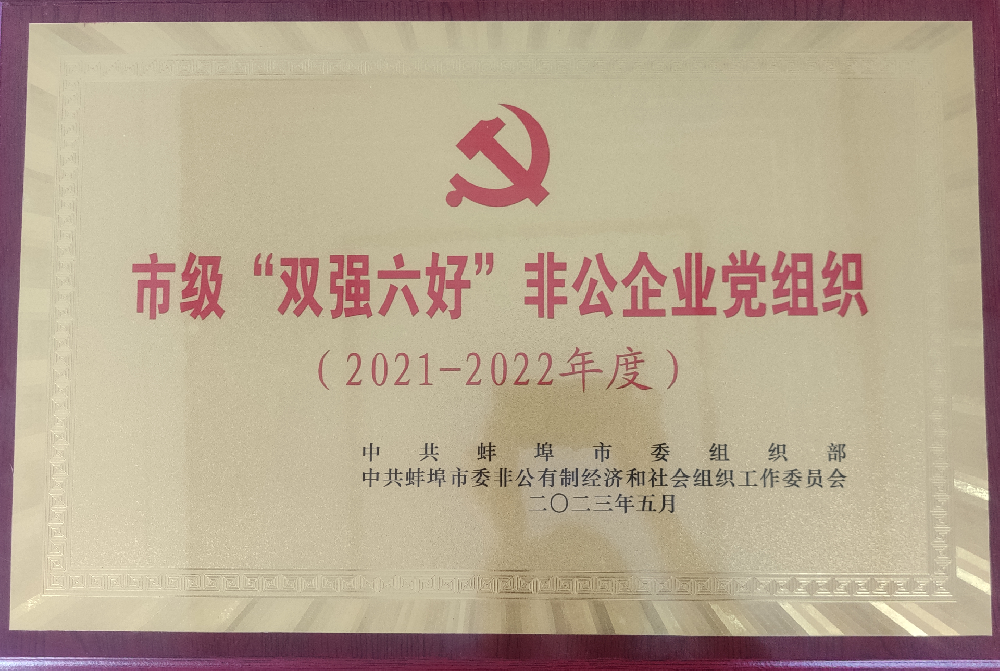 喜報(bào)！中共安徽盛世新能源材料科技有限公司支部委員會(huì)榮獲蚌埠市“雙強(qiáng)六好”非公企業(yè)黨組織榮譽(yù)稱(chēng)號(hào)